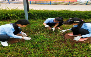 财务部持续响应公司 “全员除草”活动